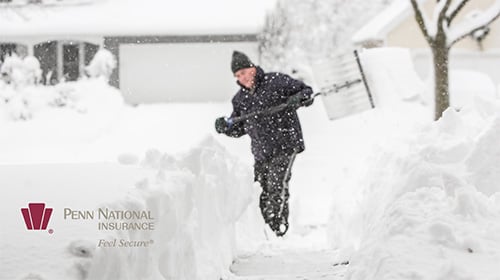 Man Shoveling PNI Logo.jpg