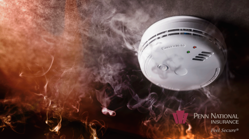 SmokeDetector - PNI Logo